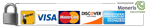 dolo secure safe payments moneris with all credit cards footer